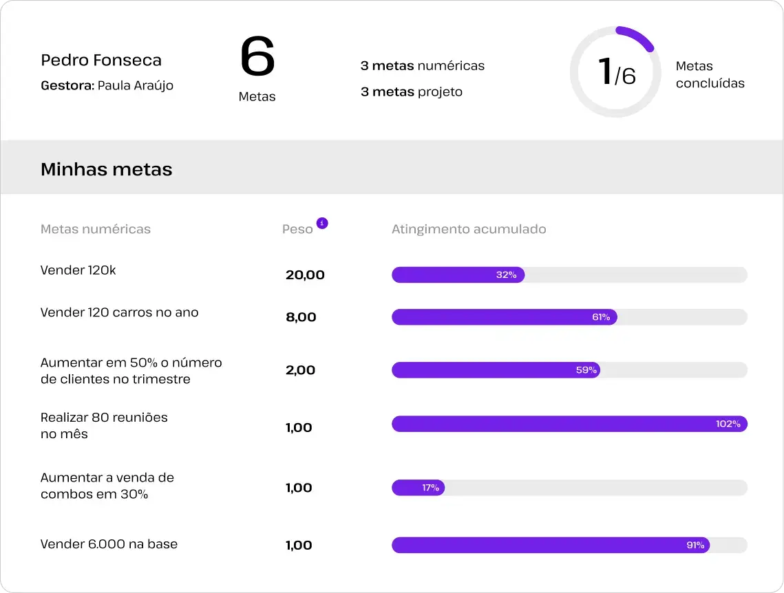 resumo_metas resumo_metas